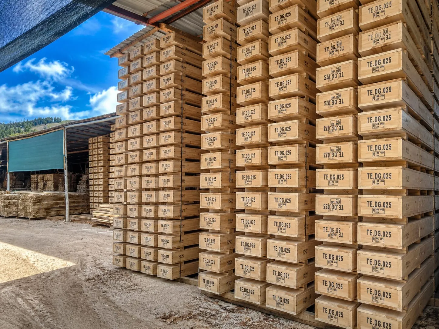 Madera procesada almacenada en la operación
